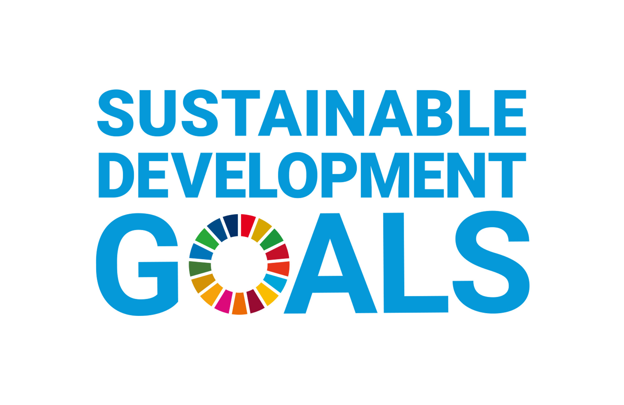 SDGs 17の目標から、何が見えるだろう？
